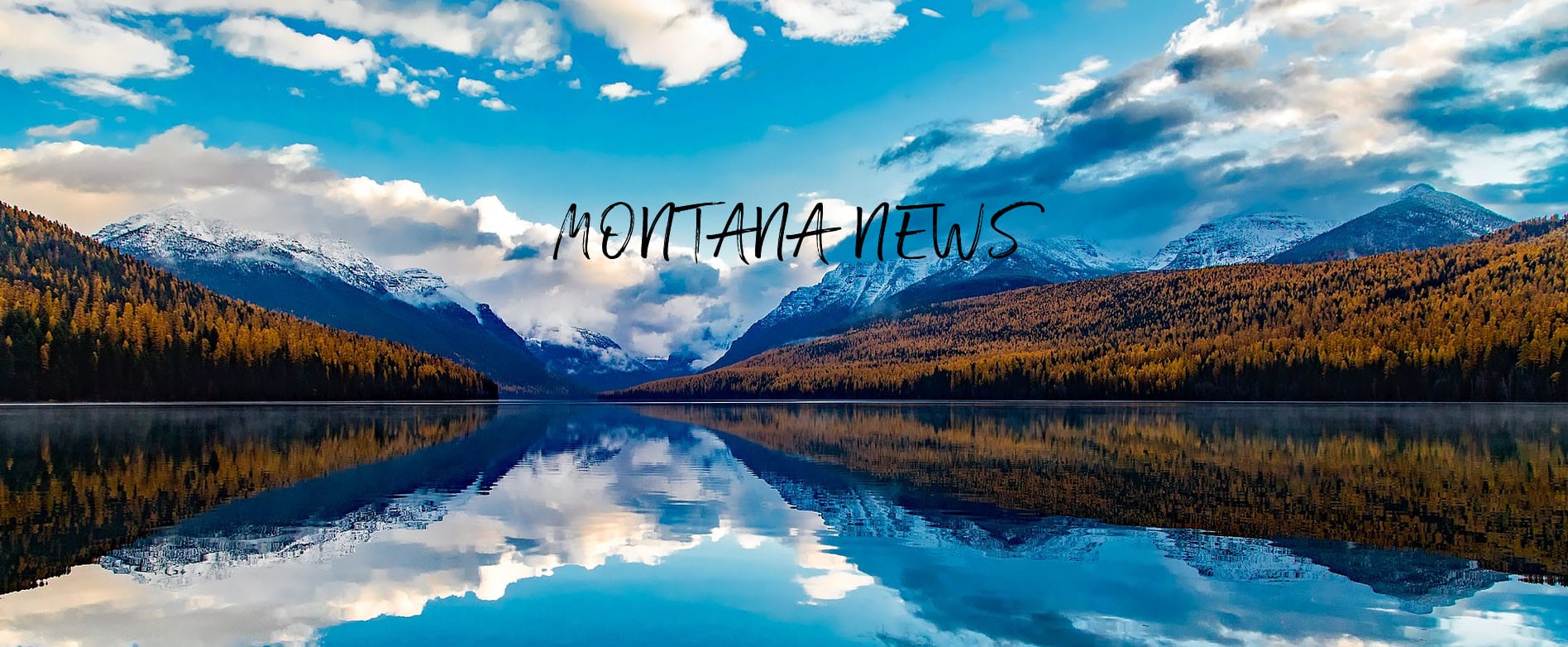 Montana Cannabis News | In The Trees Bozeman