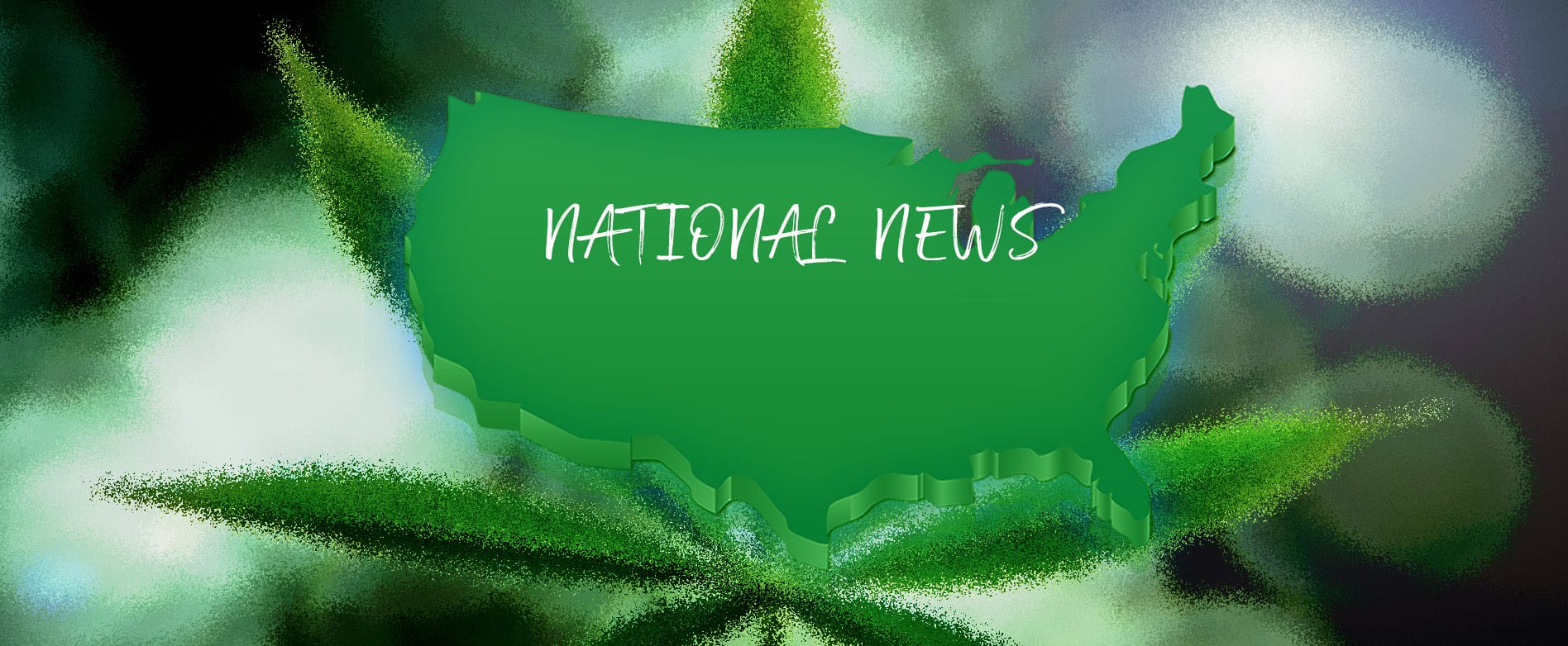 National Cannabis News | In The Trees Bozeman